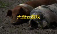 天翼云游戏